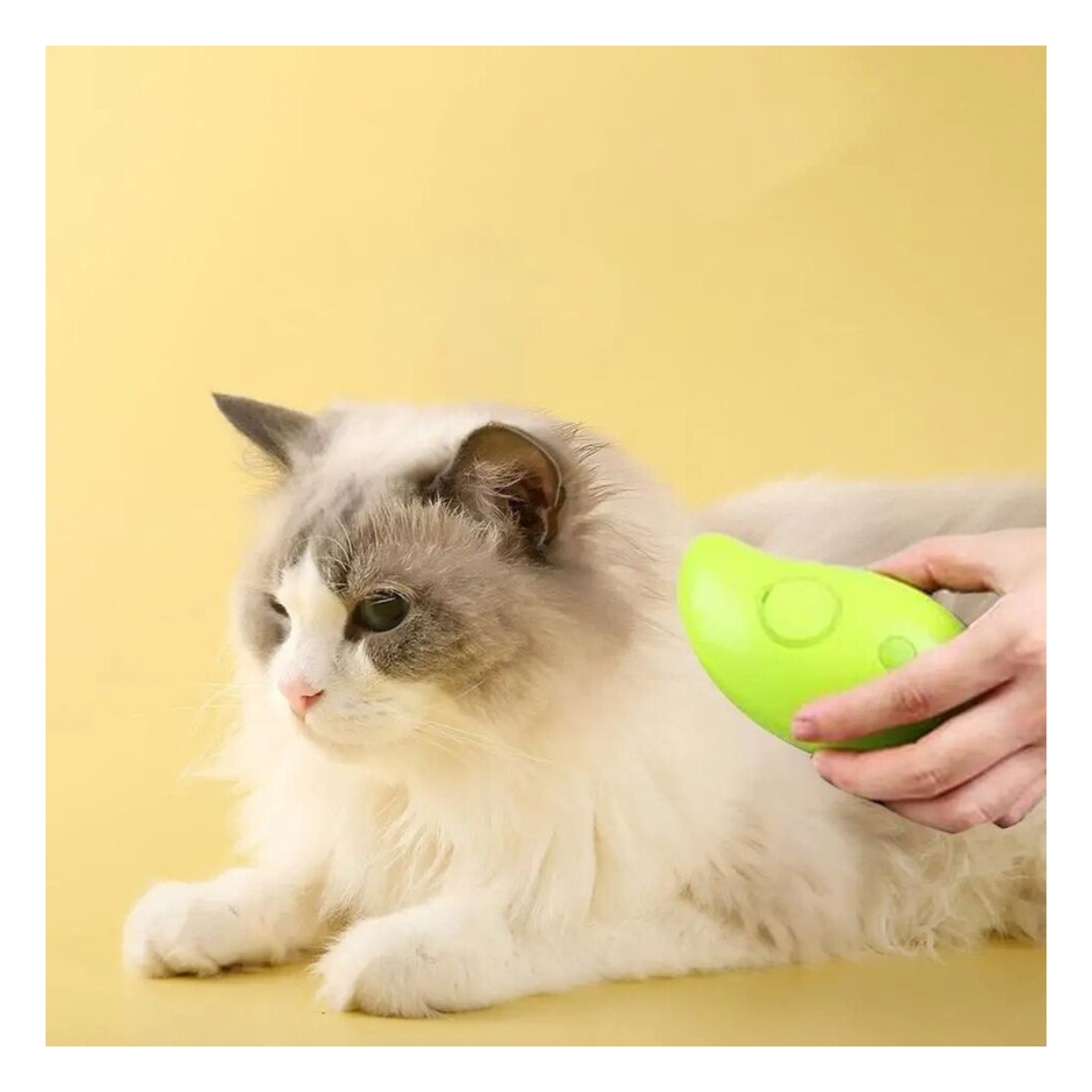 Cepillo a Vapor para Perros y Gatos